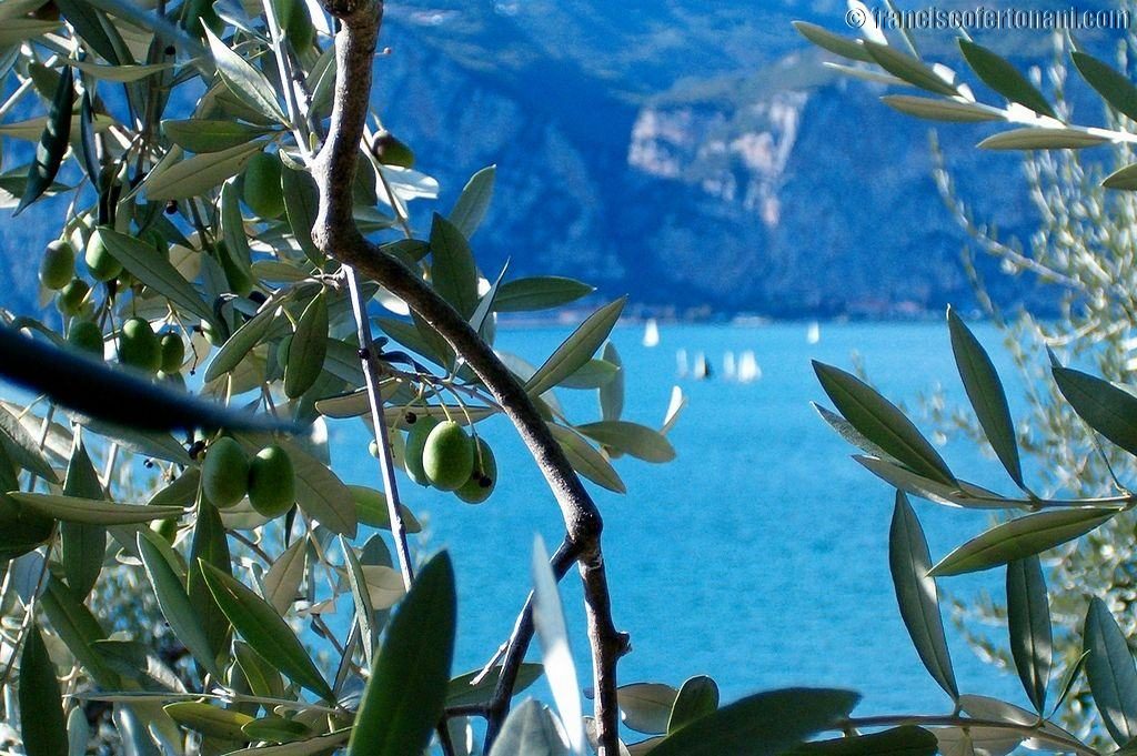 brenzone-lago-di-garda-11